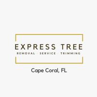 Express Tree Service Cape Coral image 1